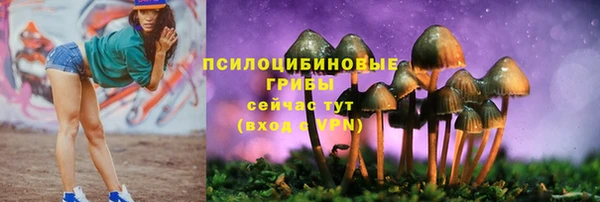 спайс Карталы