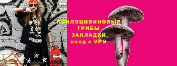 бошки Карпинск