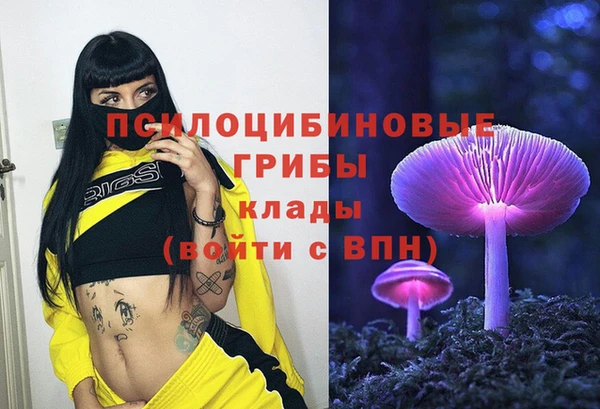 спайс Карталы