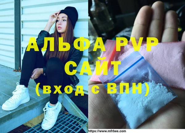 прущие грибы Касимов