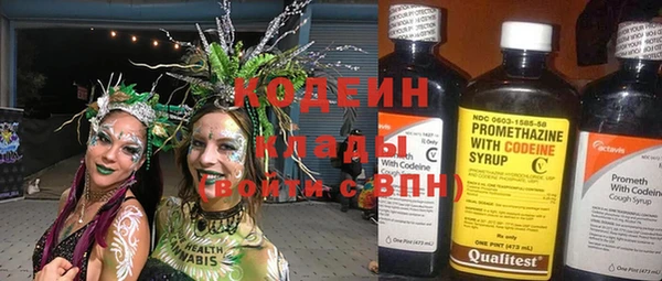 прущие грибы Касимов