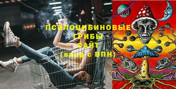 спайс Карталы