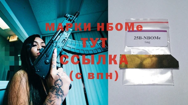 прущие грибы Касимов