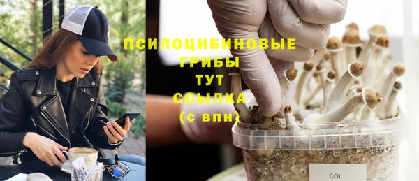 прущие грибы Касимов