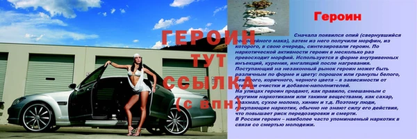 прущие грибы Касимов