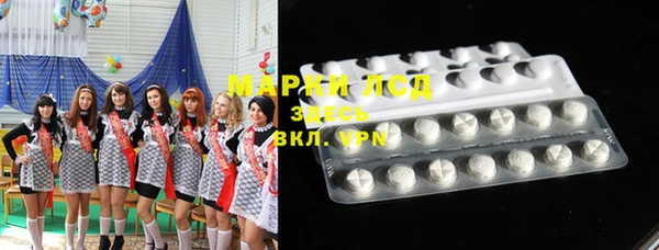 прущие грибы Касимов