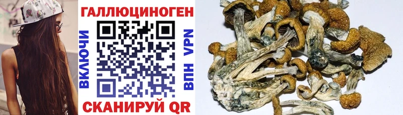 Купить Подольск Галлюциногенные грибы прущие грибы